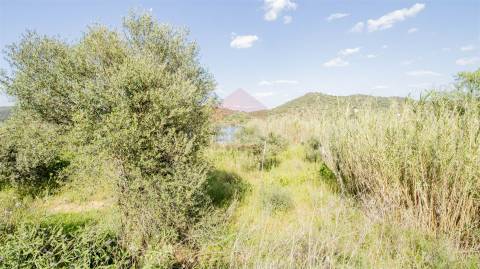 Terreno  Venda em Alcoutim e Pereiro,Alcoutim