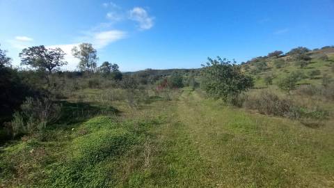 Terreno Rústico  Venda em Alcoutim e Pereiro,Alcoutim