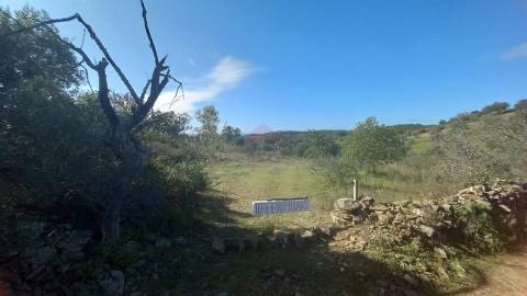 Terreno Rústico  Venda em Alcoutim e Pereiro,Alcoutim