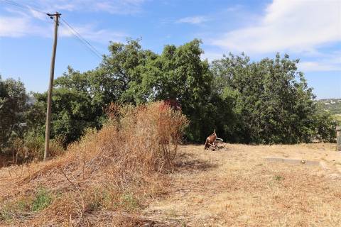Moradia Isolada T4 Venda em Santa Bárbara de Nexe,Faro