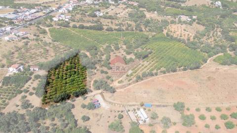 Terreno Rústico  Venda em Albufeira e Olhos de Água,Albufeira