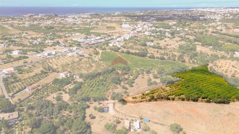Terreno Rústico  Venda em Albufeira e Olhos de Água,Albufeira