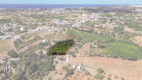 Terreno Rústico  Venda em Albufeira e Olhos de Água,Albufeira