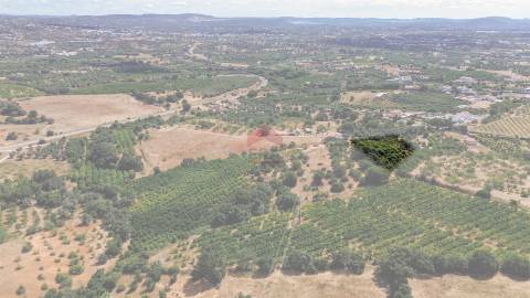 Terreno Rústico  Venda em Albufeira e Olhos de Água,Albufeira