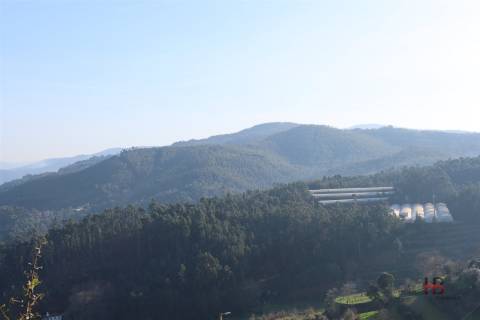 Quintinha em Castelo de Paiva