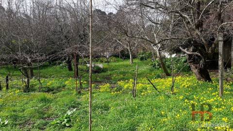 Moradia Isolada T3 Venda em Oliveira do Douro,Vila Nova de Gaia
