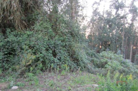 Lote Industrial  Venda em Santa Maria da Feira, Travanca, Sanfins e Espargo,Santa Maria da Feira