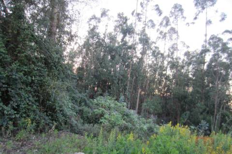Lote Industrial  Venda em Santa Maria da Feira, Travanca, Sanfins e Espargo,Santa Maria da Feira