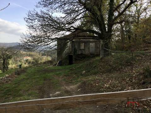 Herdade T2 Venda em Santa Cruz da Trapa e São Cristóvão de Lafões,São Pedro do Sul