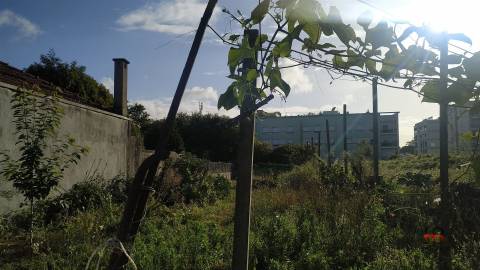 Lote de Terreno  Venda em Moreira,Maia