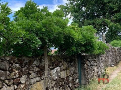 Moradia Rústica T5 Venda em São Vicente de Lafões,Oliveira de Frades