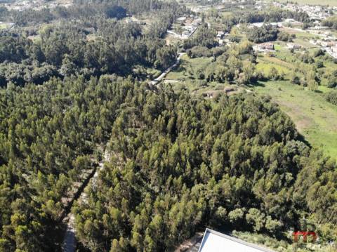 Terreno Para Construção  Venda em Sandim, Olival, Lever e Crestuma,Vila Nova de Gaia