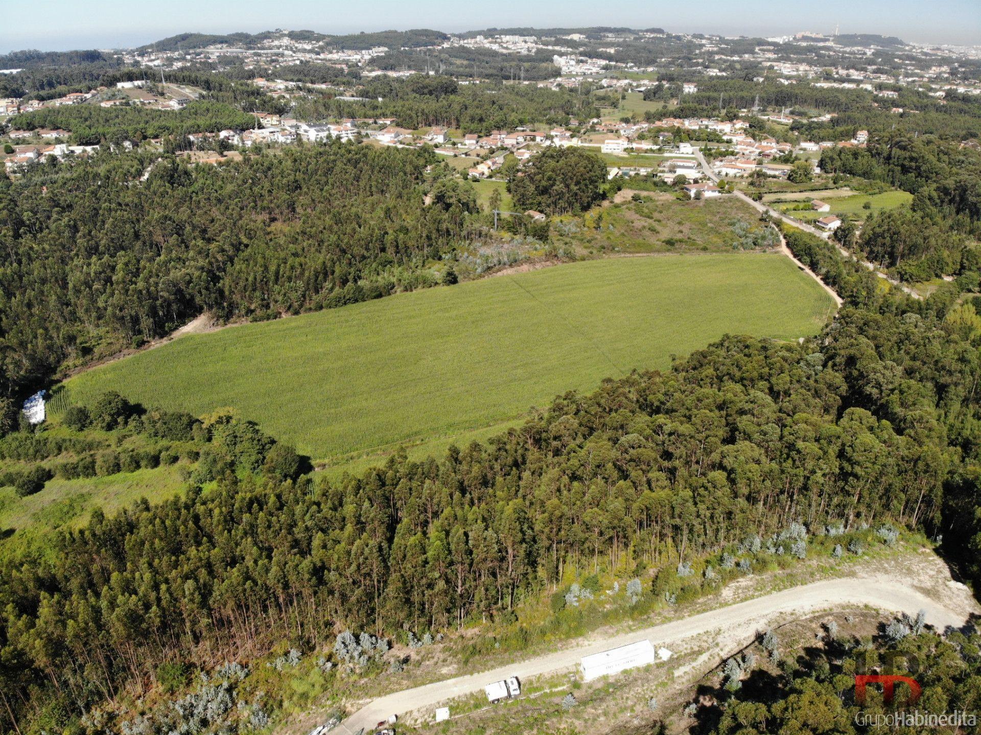 Terreno Para Construção  Venda em Sandim, Olival, Lever e Crestuma,Vila Nova de Gaia