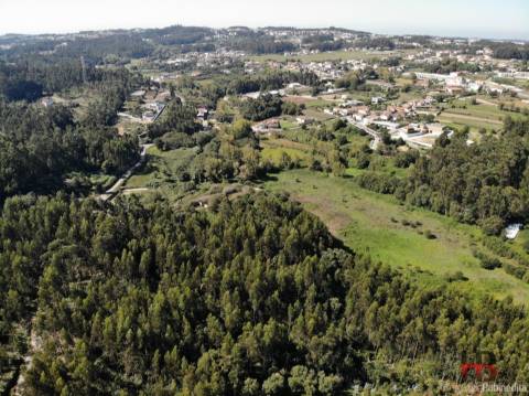 Terreno Para Construção  Venda em Sandim, Olival, Lever e Crestuma,Vila Nova de Gaia