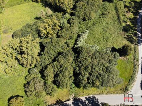 Terreno Para Construção  Venda em Sandim, Olival, Lever e Crestuma,Vila Nova de Gaia