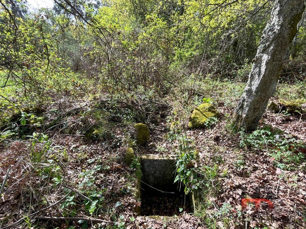 Quintinha T2 Venda em Cambra e Carvalhal de Vermilhas,Vouzela