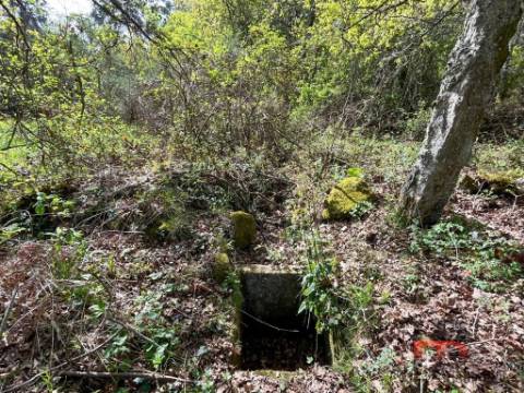 Quintinha T2 Venda em Cambra e Carvalhal de Vermilhas,Vouzela