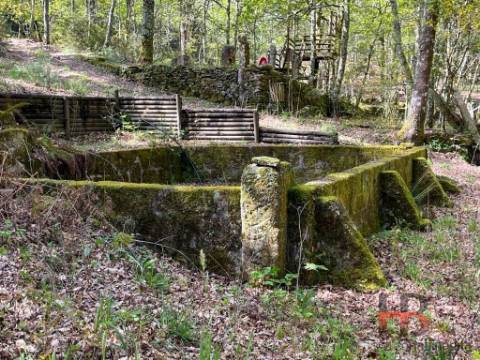 Quintinha T2 Venda em Cambra e Carvalhal de Vermilhas,Vouzela