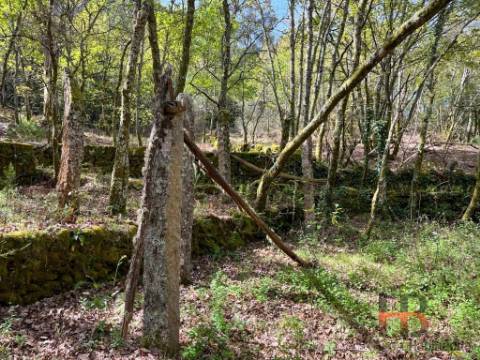Quintinha T2 Venda em Cambra e Carvalhal de Vermilhas,Vouzela