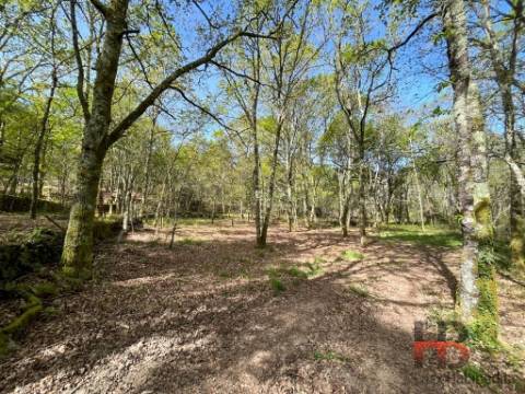 Quintinha T2 Venda em Cambra e Carvalhal de Vermilhas,Vouzela