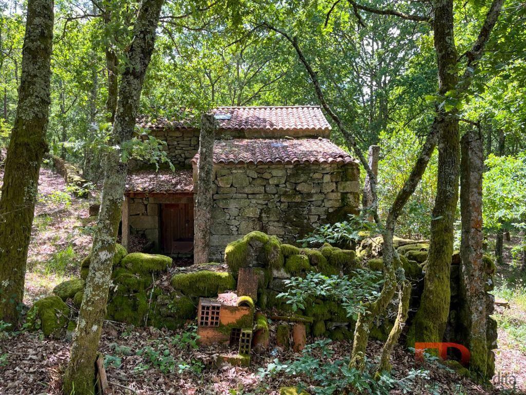 Quintinha T2 Venda em Cambra e Carvalhal de Vermilhas,Vouzela