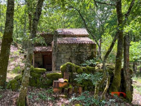 Quintinha T2 Venda em Cambra e Carvalhal de Vermilhas,Vouzela