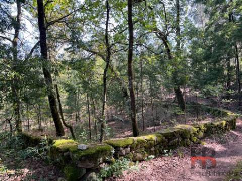 Quintinha T2 Venda em Cambra e Carvalhal de Vermilhas,Vouzela