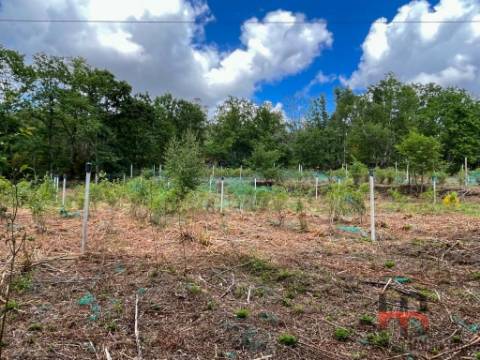 Quintinha T2 Venda em Cambra e Carvalhal de Vermilhas,Vouzela