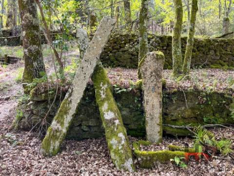 Quintinha T2 Venda em Cambra e Carvalhal de Vermilhas,Vouzela