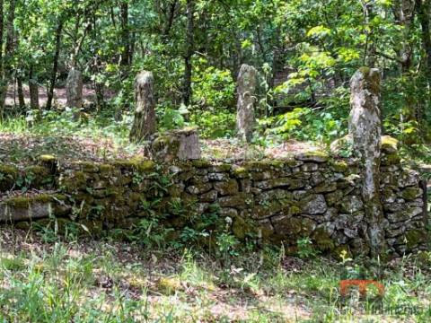Quintinha T2 Venda em Cambra e Carvalhal de Vermilhas,Vouzela