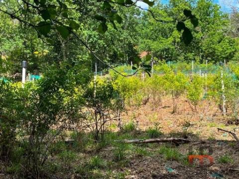 Quintinha T2 Venda em Cambra e Carvalhal de Vermilhas,Vouzela