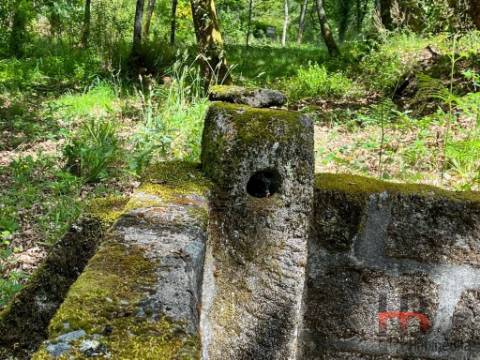 Quintinha T2 Venda em Cambra e Carvalhal de Vermilhas,Vouzela