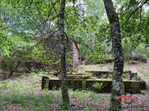 Quintinha T2 Venda em Cambra e Carvalhal de Vermilhas,Vouzela