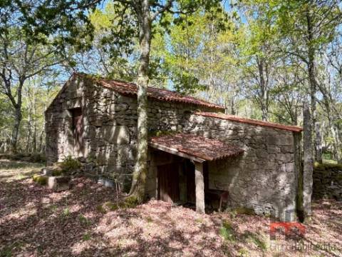 Quintinha T2 Venda em Cambra e Carvalhal de Vermilhas,Vouzela