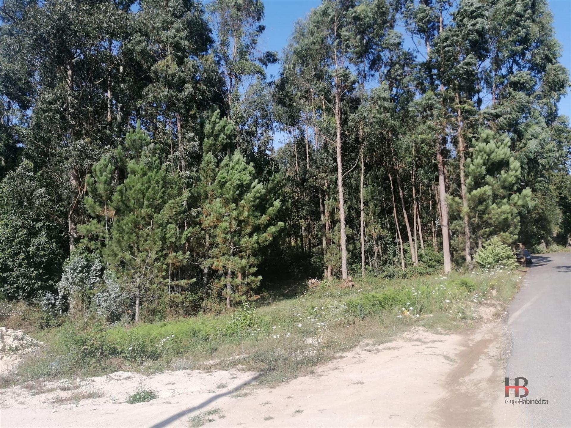 Lote de Terreno  Venda em Santa Maria da Feira, Travanca, Sanfins e Espargo,Santa Maria da Feira