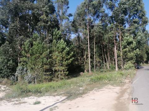 Lote de Terreno  Venda em Santa Maria da Feira, Travanca, Sanfins e Espargo,Santa Maria da Feira