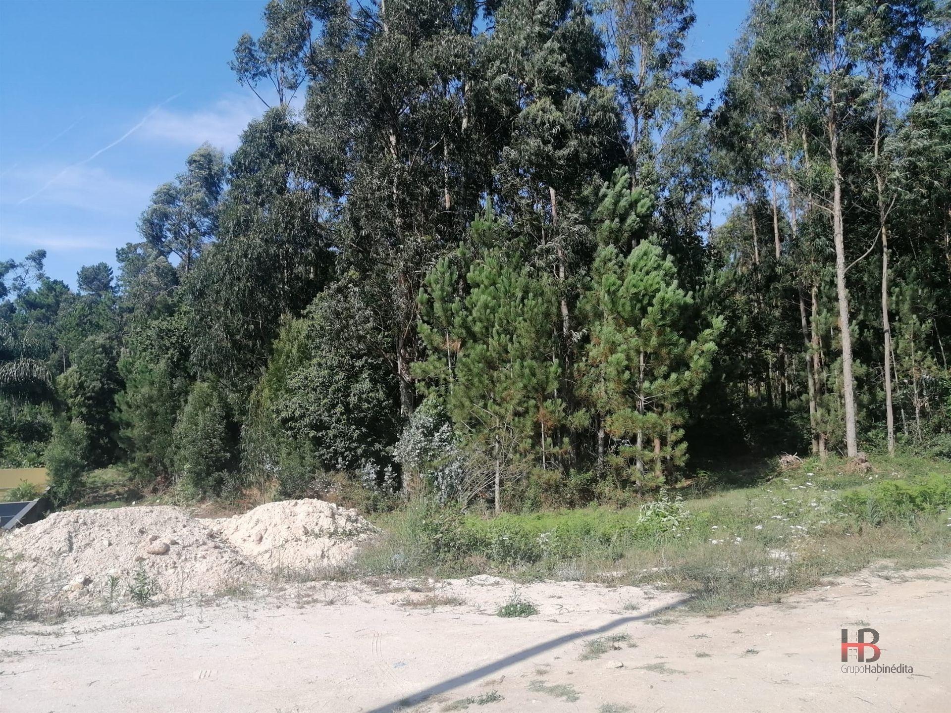 Lote de Terreno  Venda em Santa Maria da Feira, Travanca, Sanfins e Espargo,Santa Maria da Feira