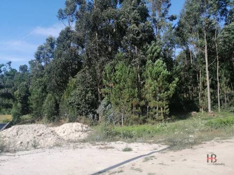 Lote de Terreno  Venda em Santa Maria da Feira, Travanca, Sanfins e Espargo,Santa Maria da Feira