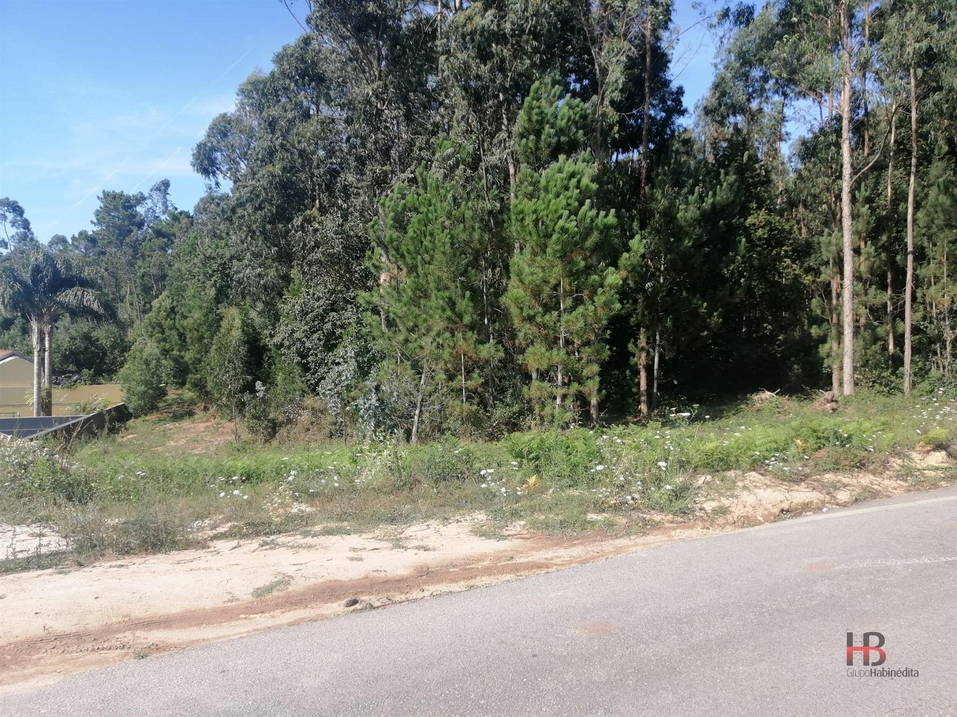 Lote de Terreno  Venda em Santa Maria da Feira, Travanca, Sanfins e Espargo,Santa Maria da Feira
