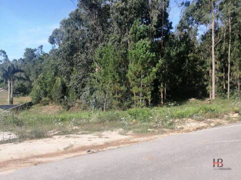 Lote de Terreno  Venda em Santa Maria da Feira, Travanca, Sanfins e Espargo,Santa Maria da Feira