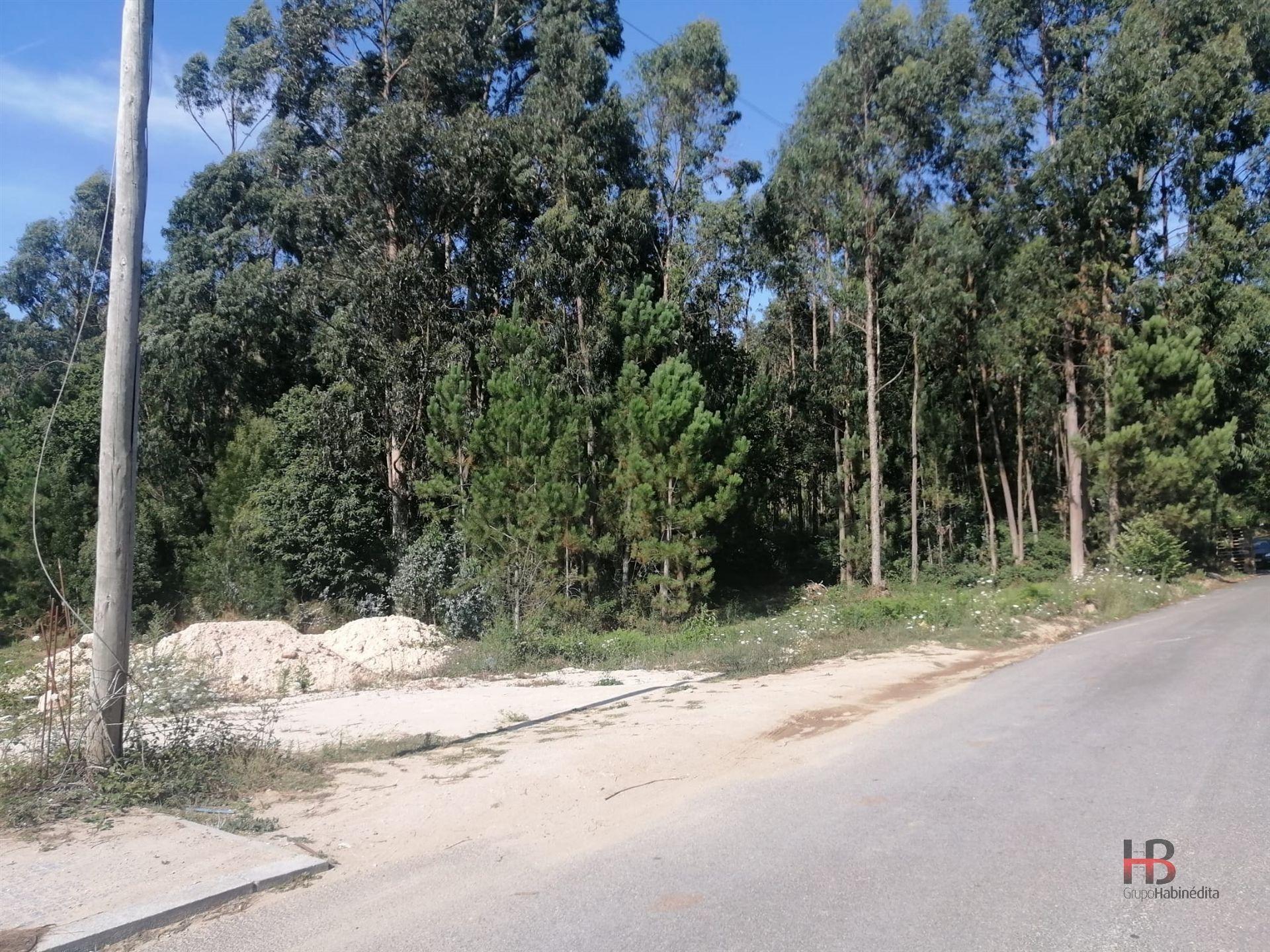 Lote de Terreno  Venda em Santa Maria da Feira, Travanca, Sanfins e Espargo,Santa Maria da Feira