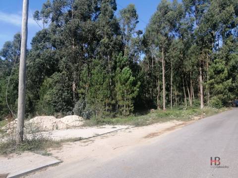 Lote de Terreno  Venda em Santa Maria da Feira, Travanca, Sanfins e Espargo,Santa Maria da Feira