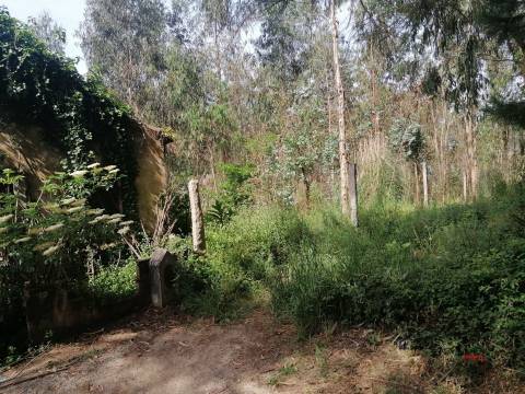 Moradia Devoluta T2 Venda em São Miguel do Souto e Mosteirô,Santa Maria da Feira