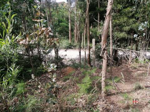 Moradia Devoluta T2 Venda em São Miguel do Souto e Mosteirô,Santa Maria da Feira