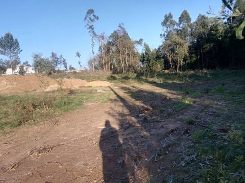 Terreno Urbano  Venda em São Miguel do Souto e Mosteirô,Santa Maria da Feira