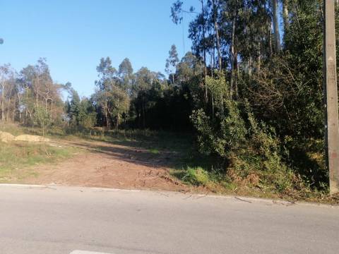 Terreno Urbano  Venda em São Miguel do Souto e Mosteirô,Santa Maria da Feira