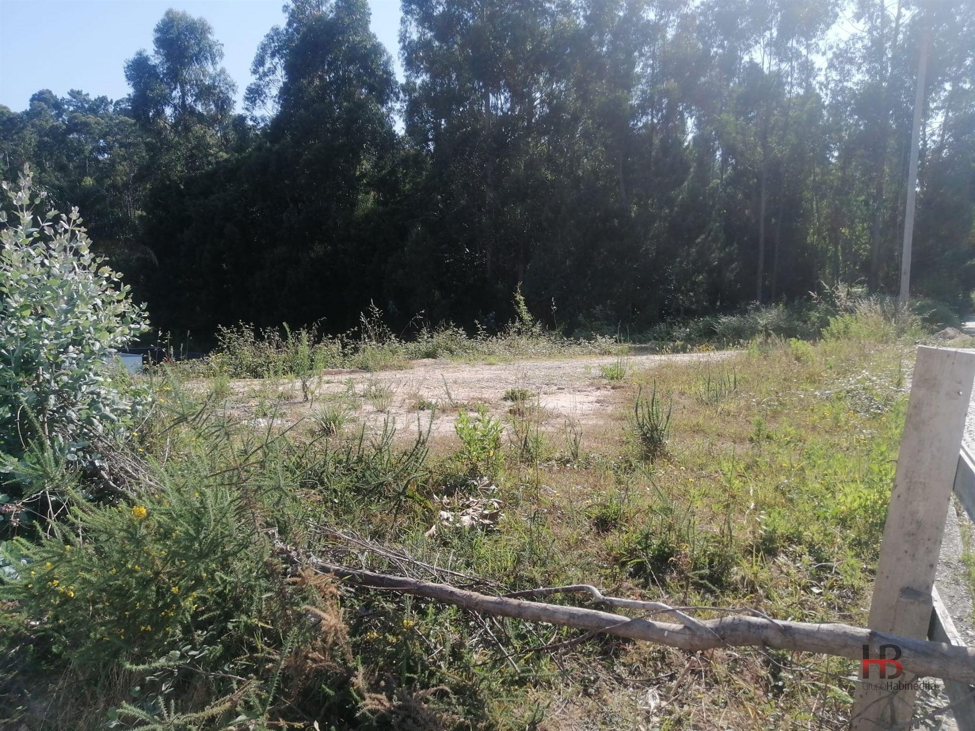 Terreno Para Construção  Venda em Santa Maria da Feira, Travanca, Sanfins e Espargo,Santa Maria da Feira
