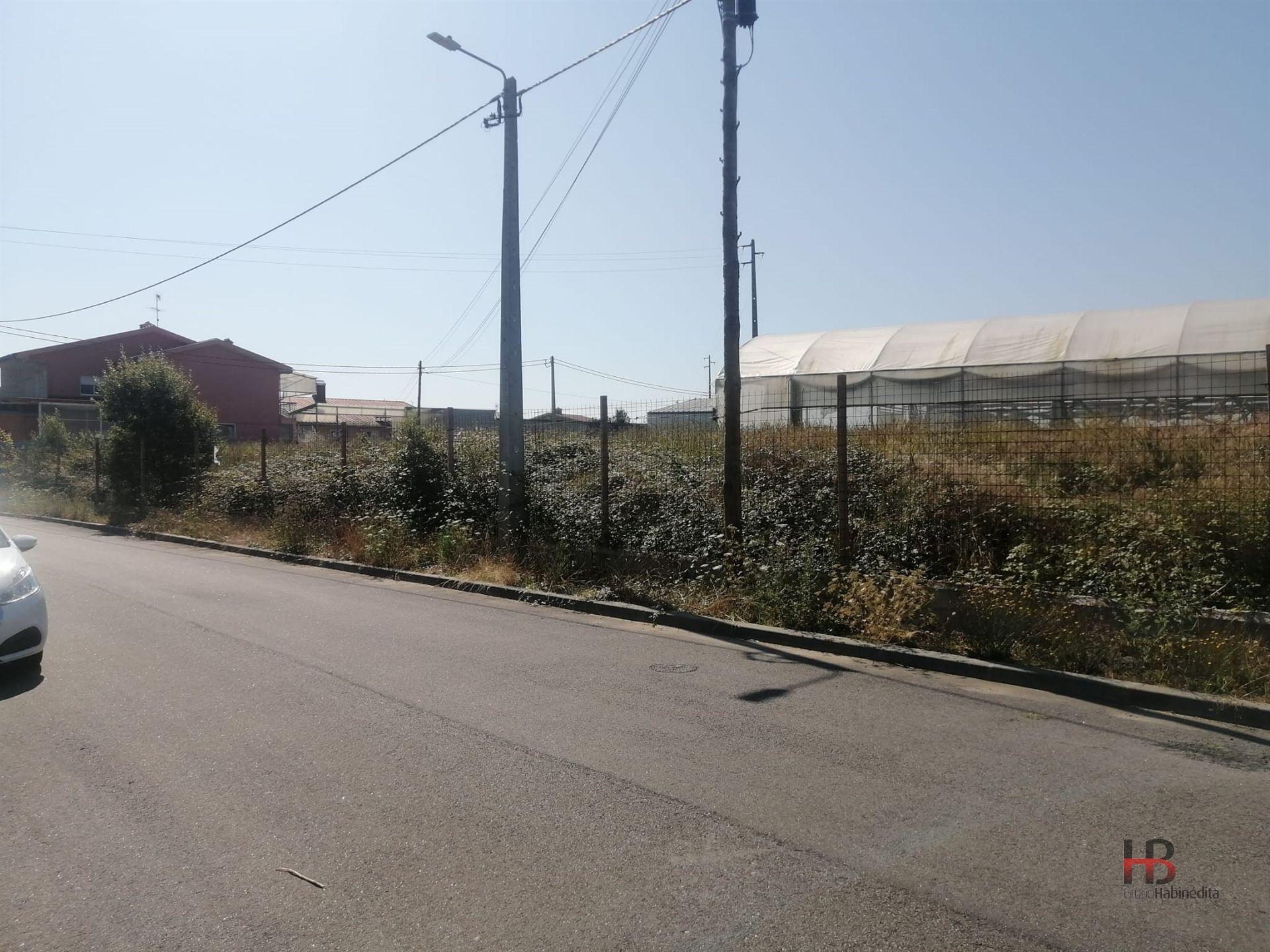 Terreno Misto  Venda em São Miguel do Souto e Mosteirô,Santa Maria da Feira
