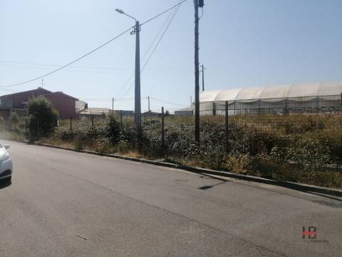 Terreno Misto  Venda em São Miguel do Souto e Mosteirô,Santa Maria da Feira