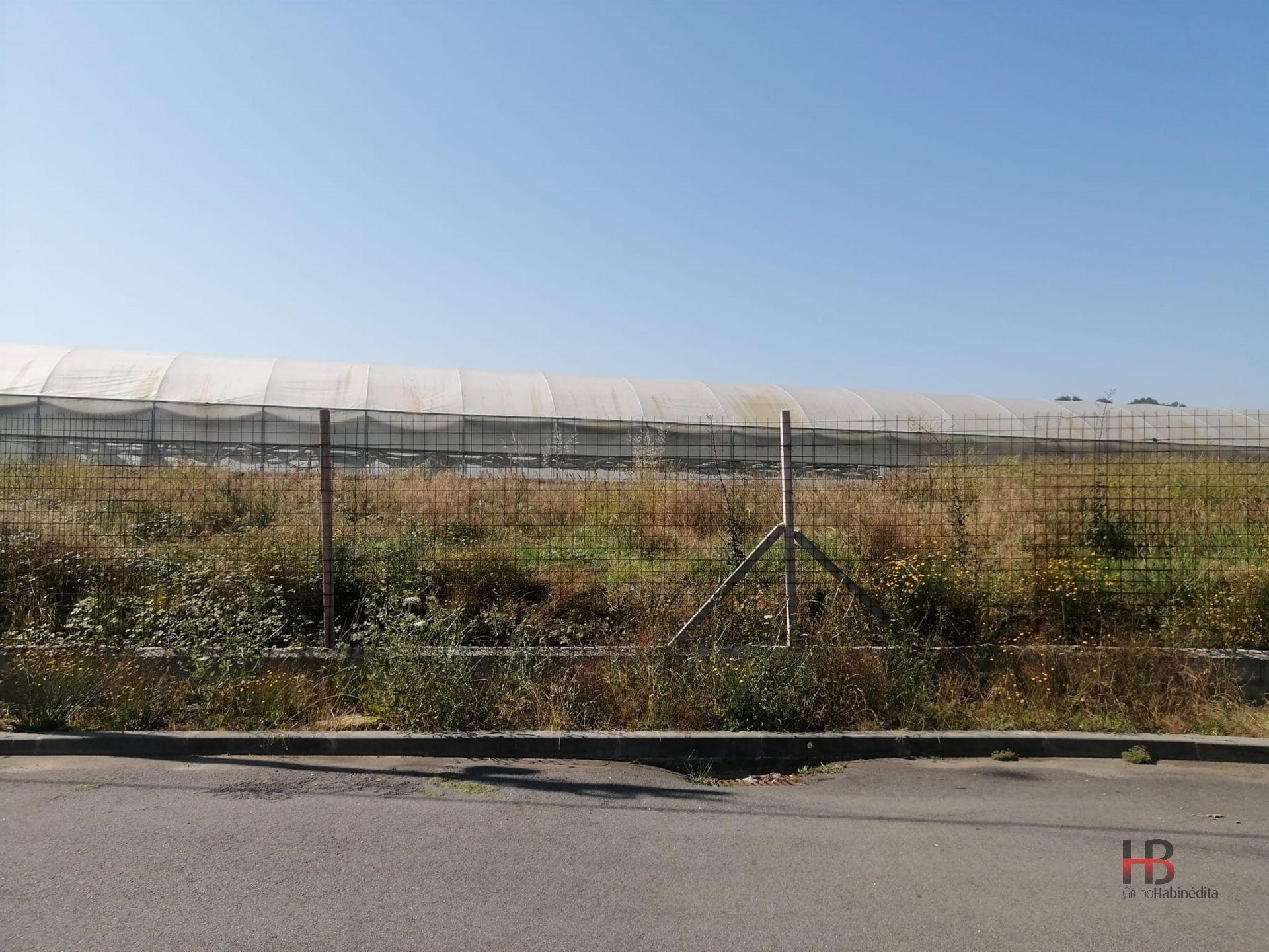 Terreno Misto  Venda em São Miguel do Souto e Mosteirô,Santa Maria da Feira